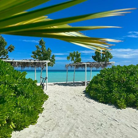 Samura Maldives Guest House Thulusdhoo Zewnętrze zdjęcie