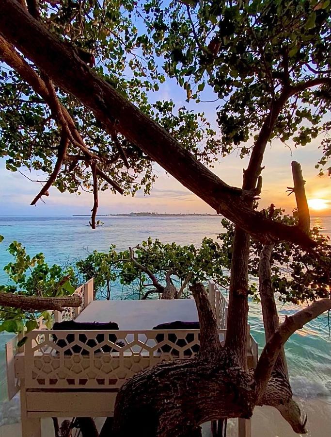 Samura Maldives Guest House Thulusdhoo Zewnętrze zdjęcie