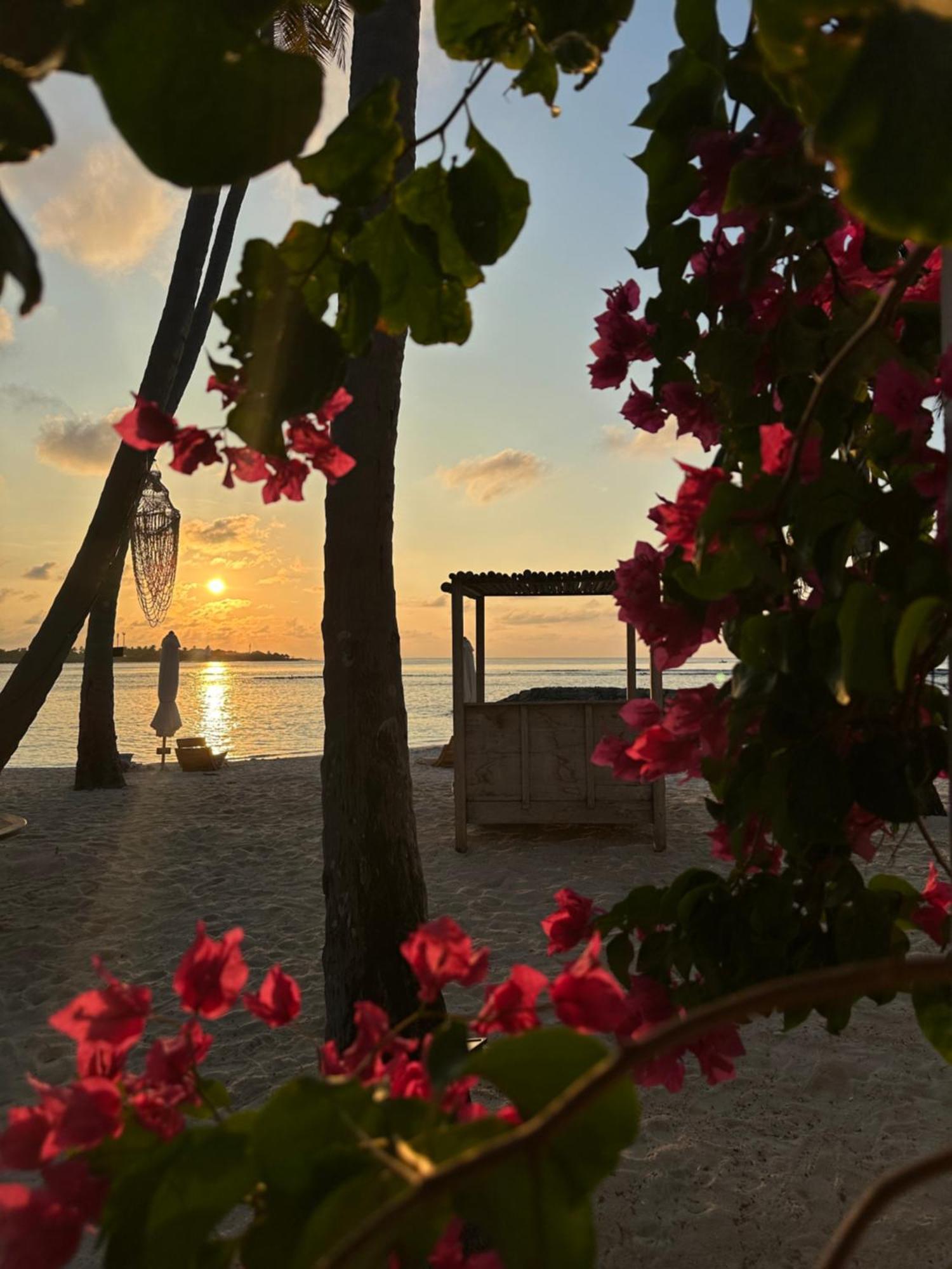 Samura Maldives Guest House Thulusdhoo Zewnętrze zdjęcie